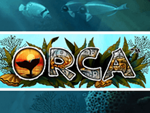 Игровой аппарат Orca